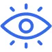Vision